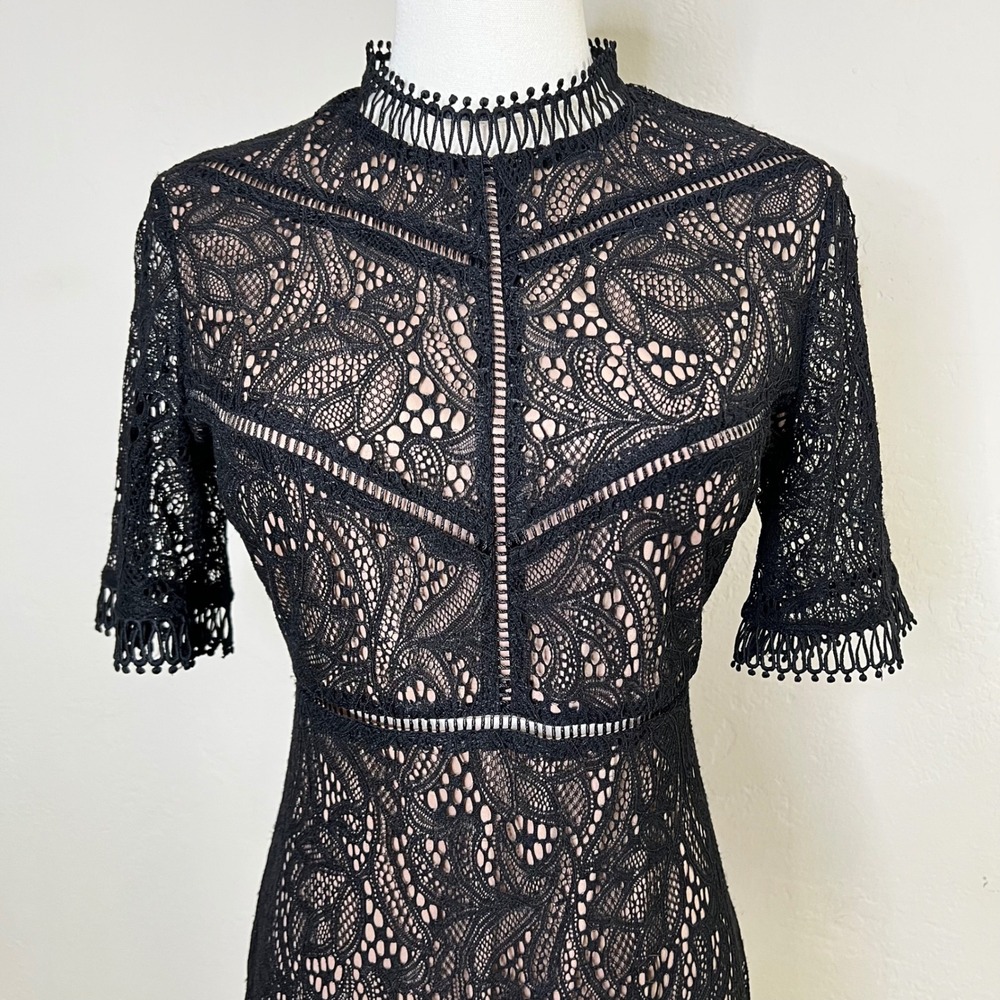 Bardot Black Lace Mock Neck Knee Length Dress Sheath Theodora‎ Size 8 / Medium - Picture 2 of 12